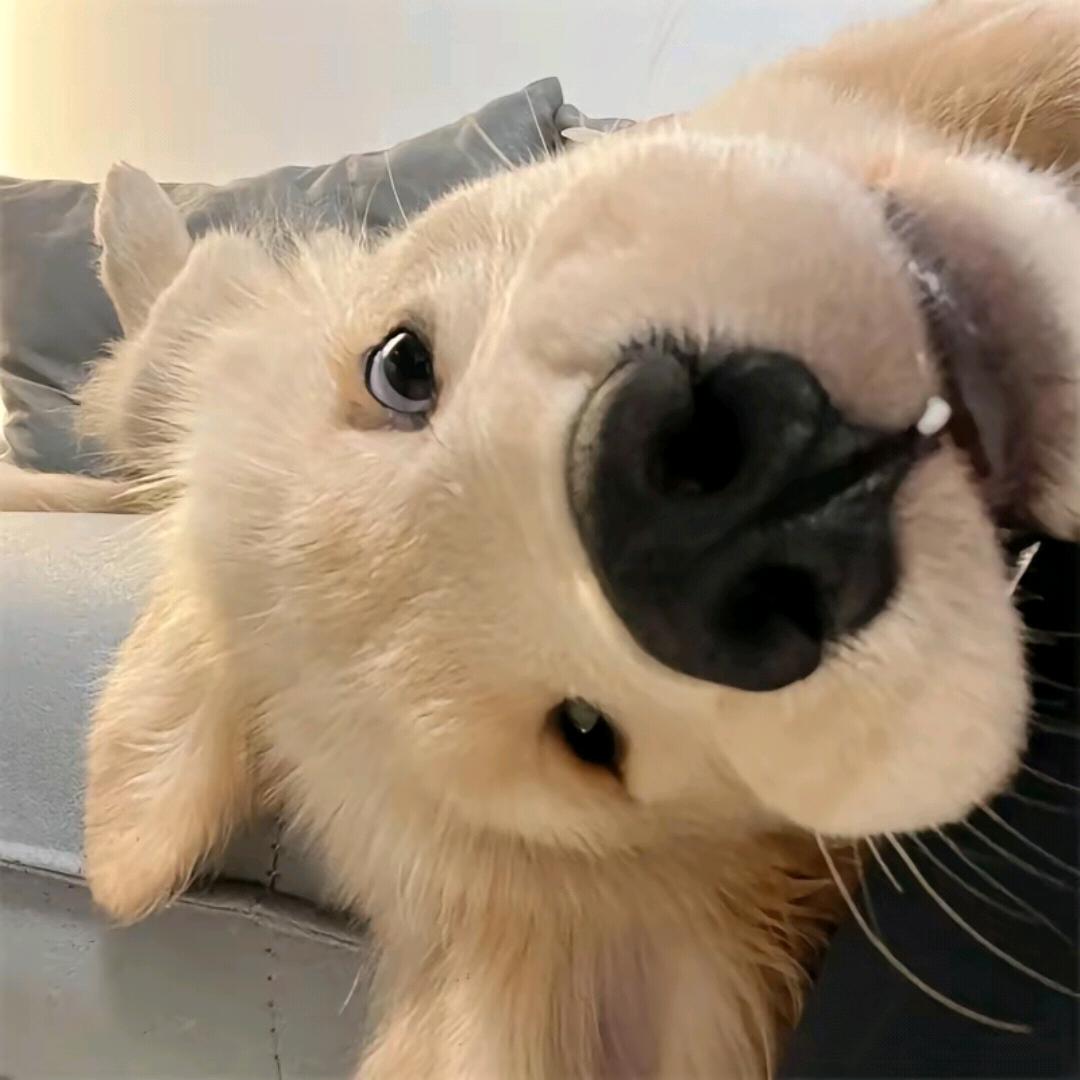 我不是小Zzz