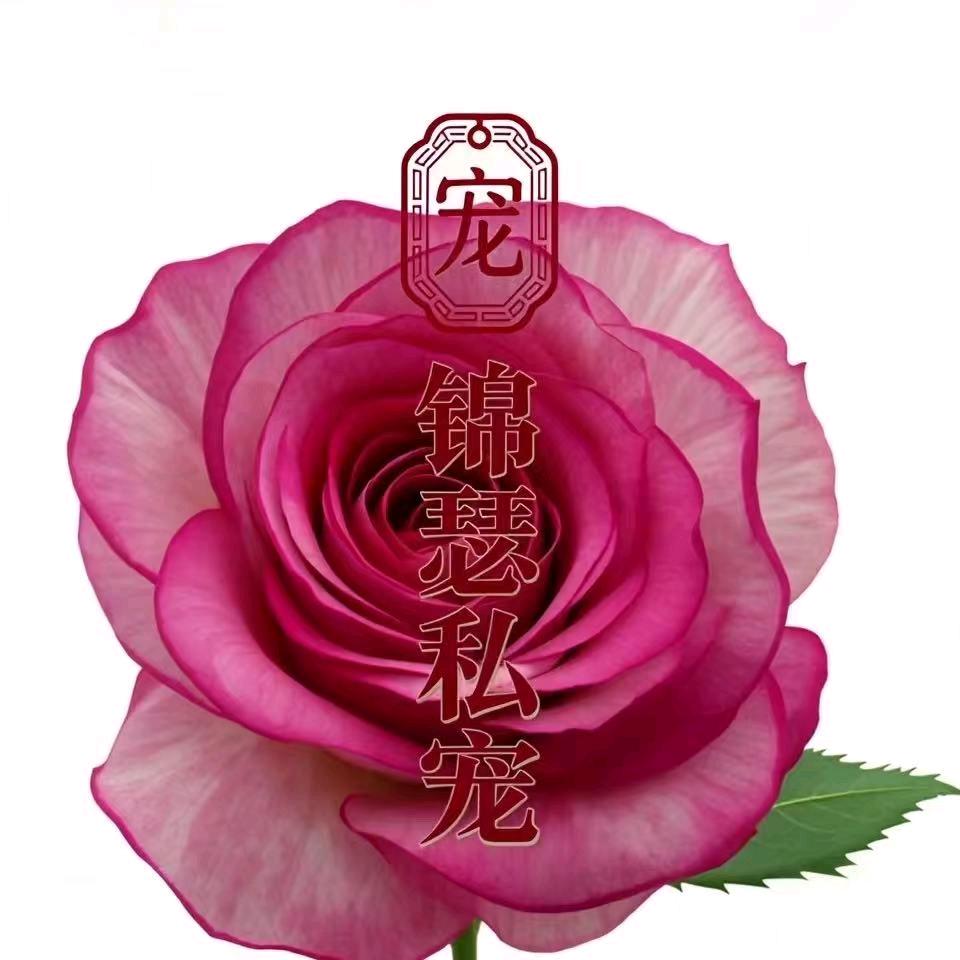 锦瑟私宠私护店