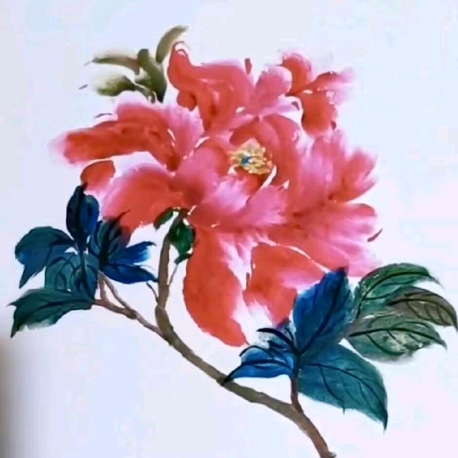 琪      琪   🌻