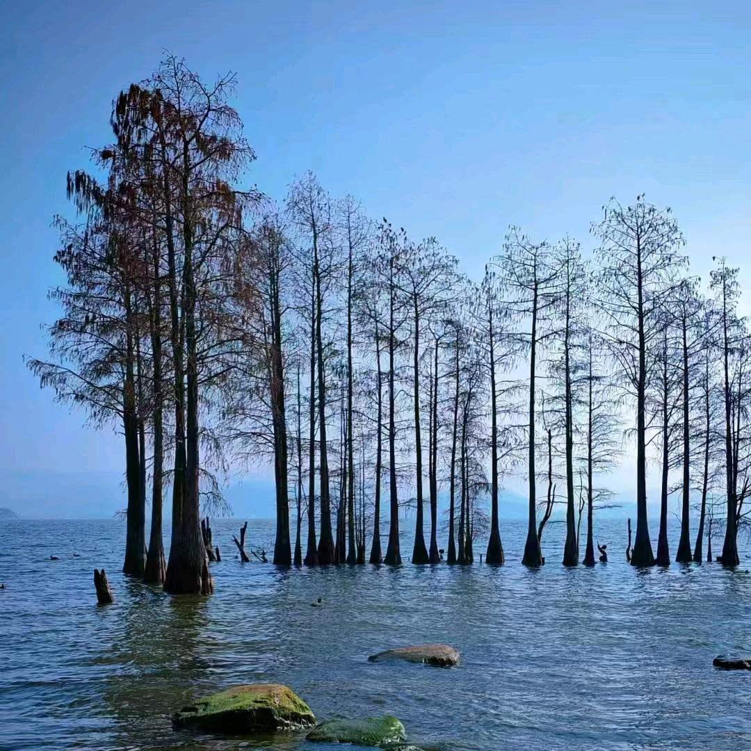 慕色音乐酒吧官方号