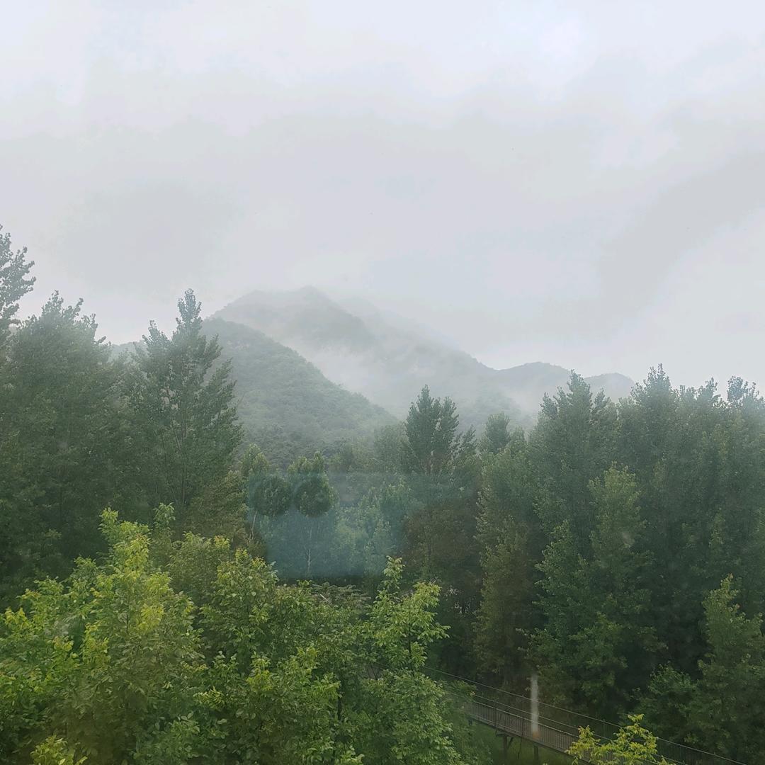 唯有靠自我
