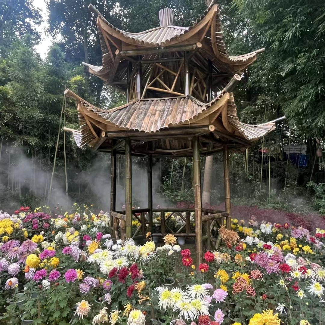 忘记过去63