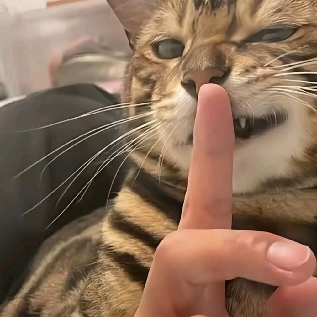 不是.晚安