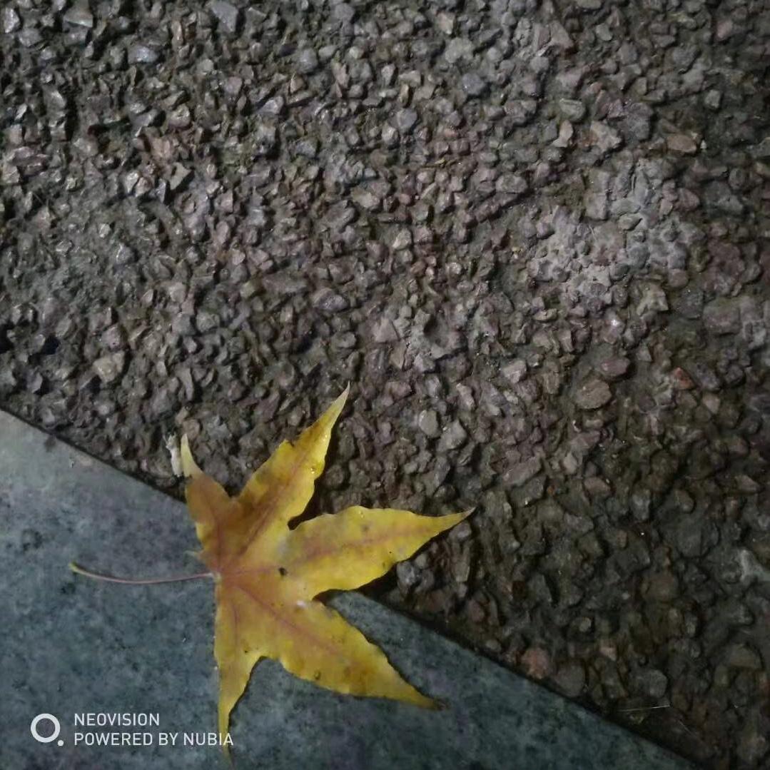 ᯤ ⁵ᴳ