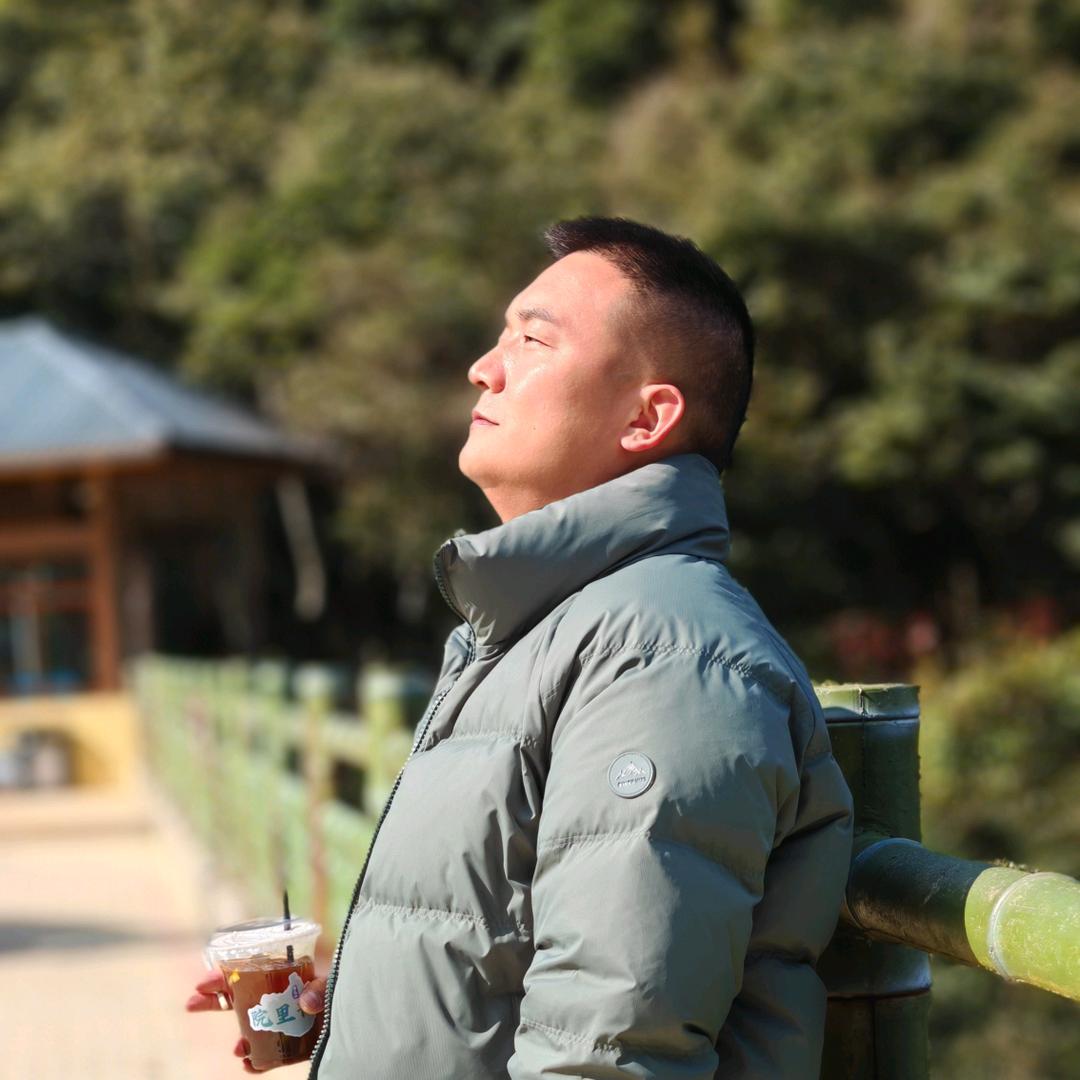 果敢的大象