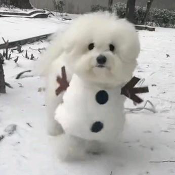 好运常在（求过考试版）