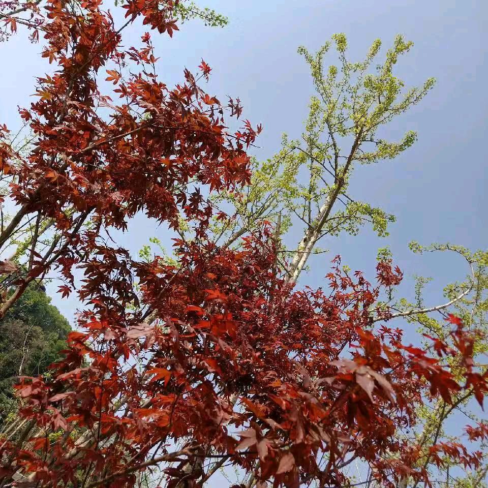 余生爱自己