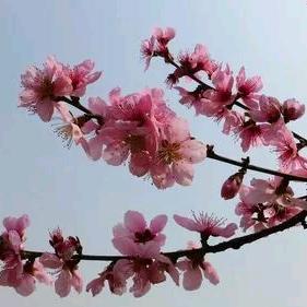雨后彩虹