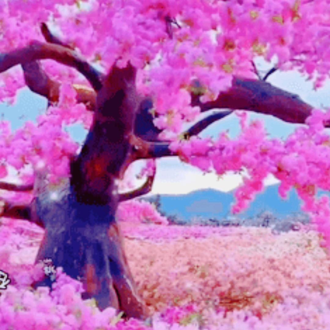 桃源