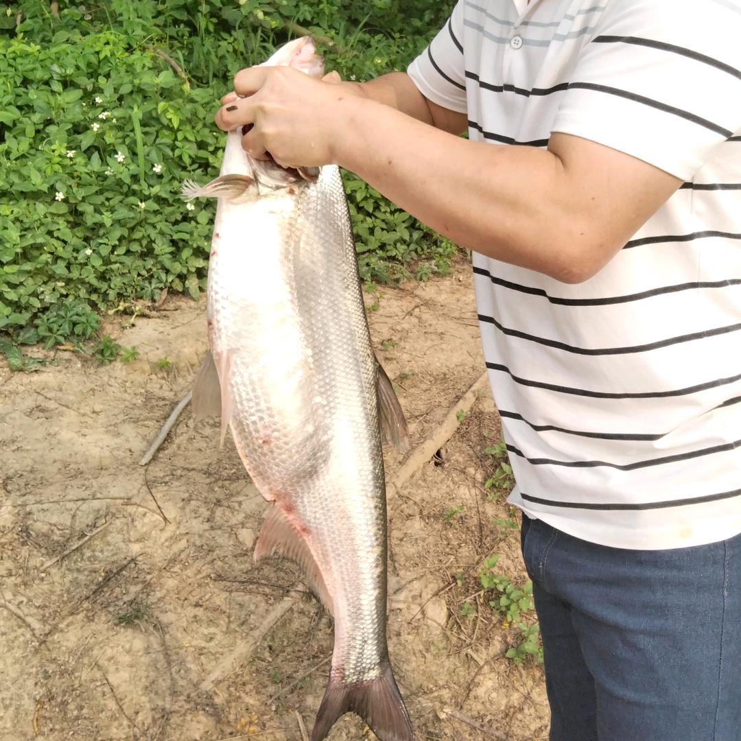 听说你过的很好