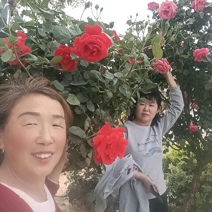 @华姐