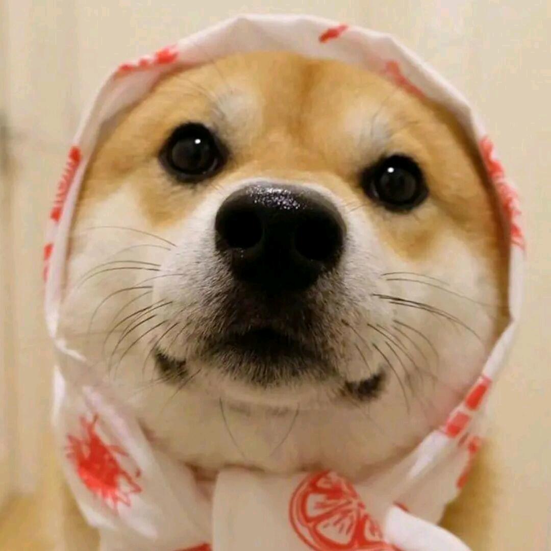 Li!