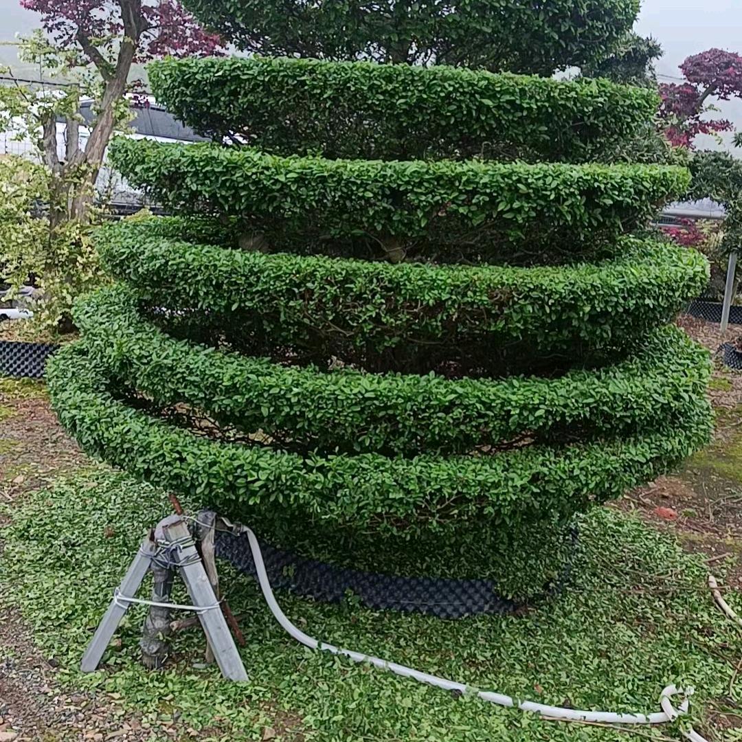 @:一生平安