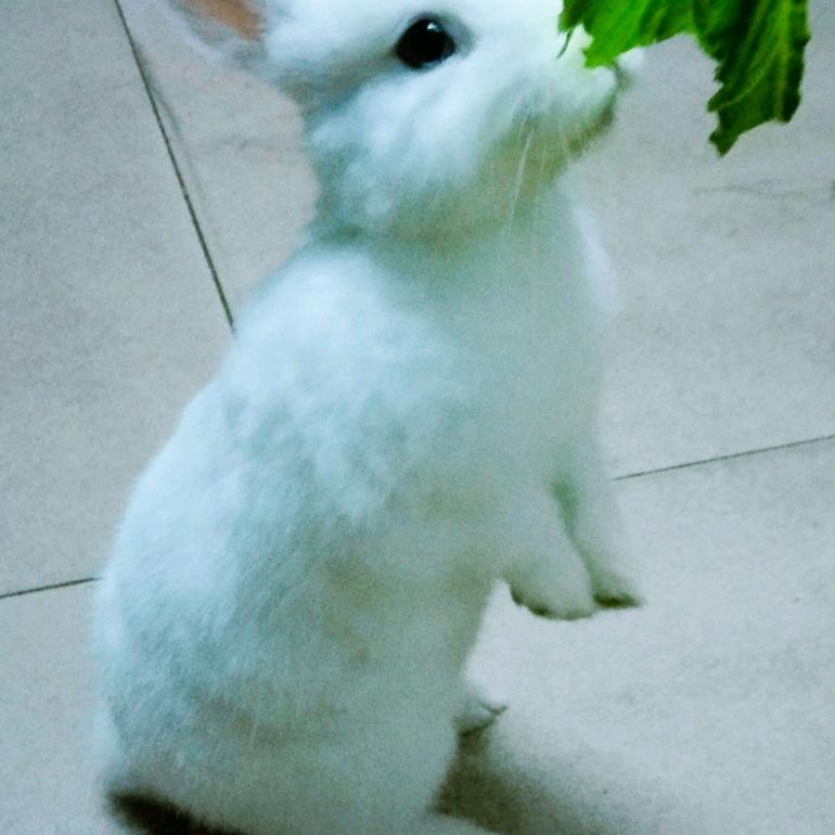 明玲💝💝💝💖