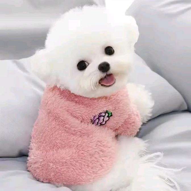 天美知性优选