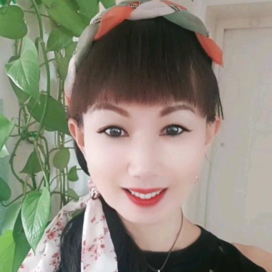 莺飞舞