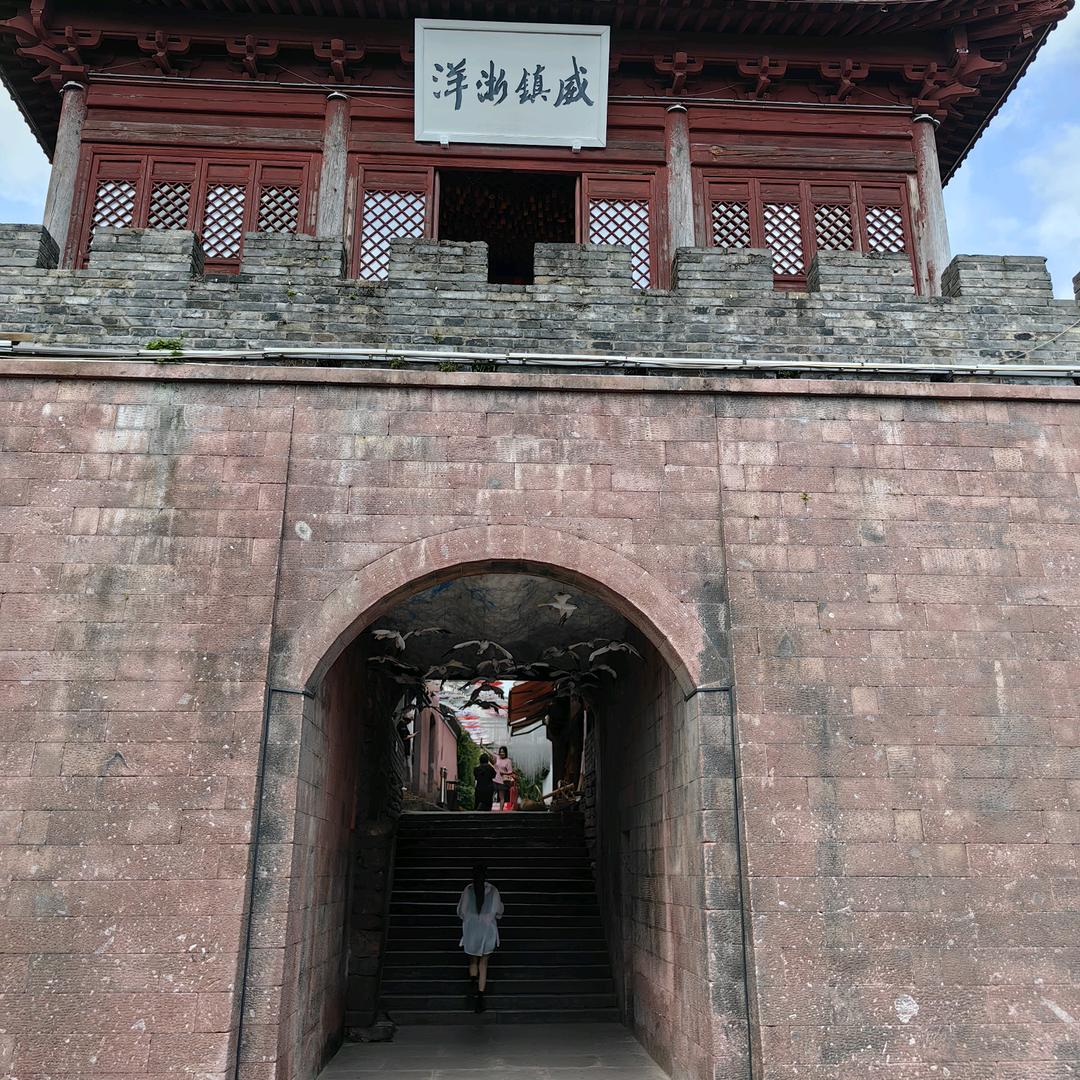 幸运草—悄然萌芽