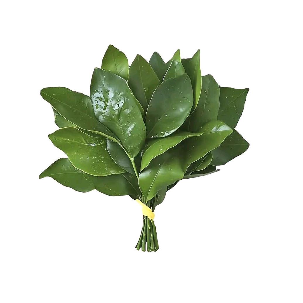悦吾