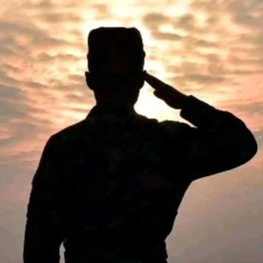 《凉城县店》寂寞的番茄