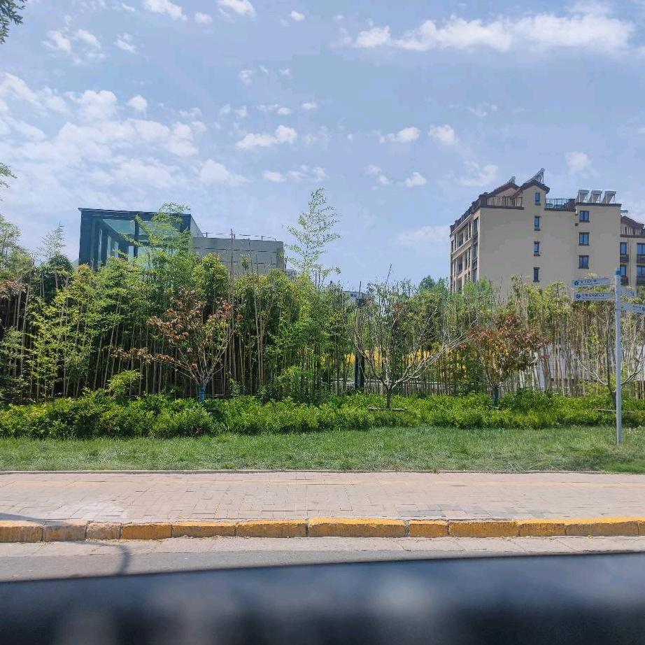 手熬老红糖珍珠奶茶