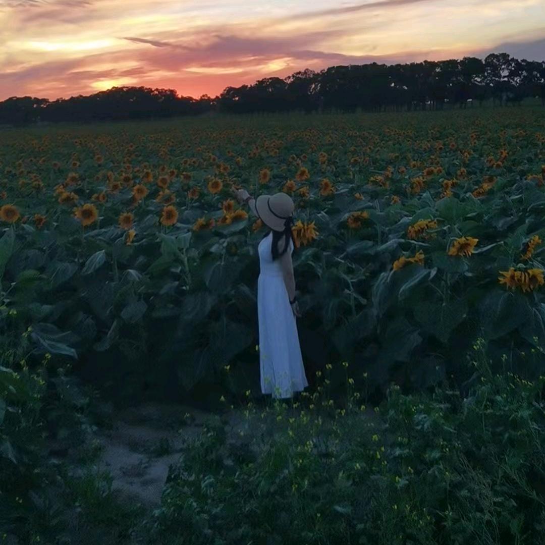 🐮牛大🐮牛二