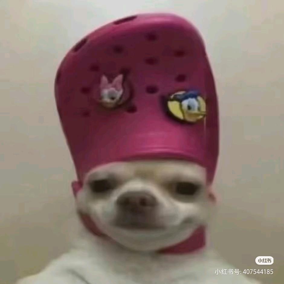 用户0000