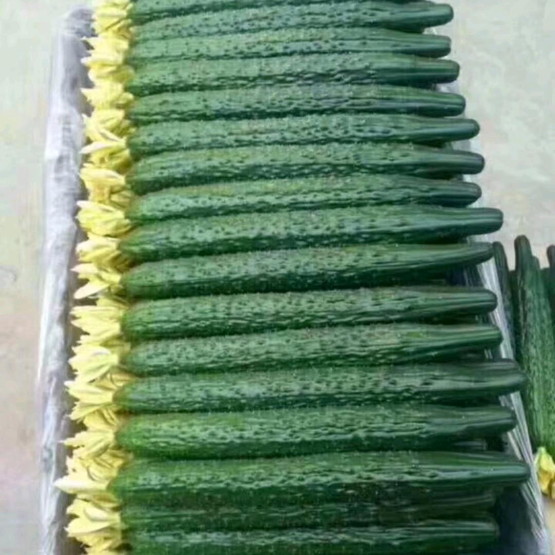 有心者有所累，