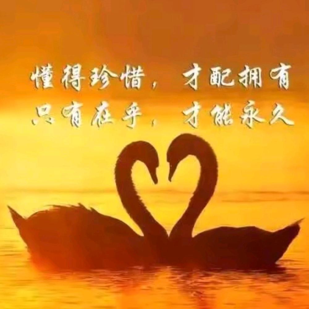 非诚勿扰🙏帮助大家成全美事🌹