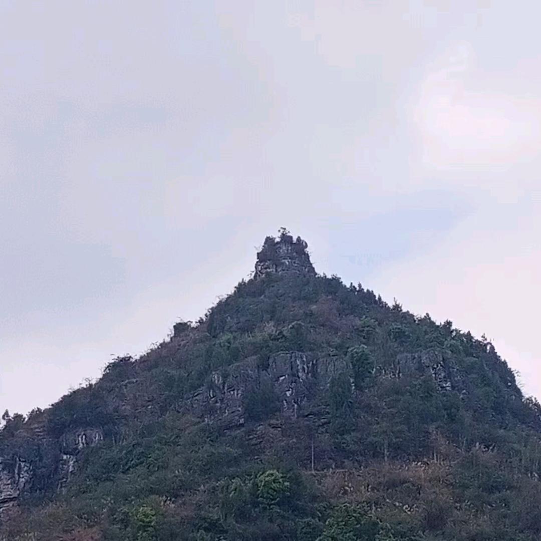 天下大同 神机