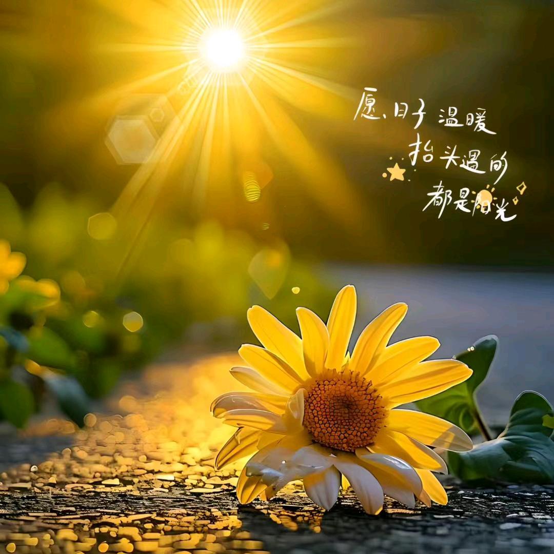 静沐暖阳✨