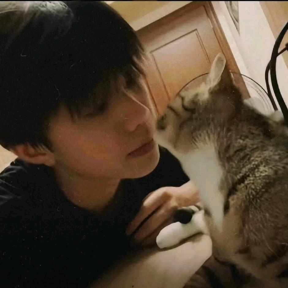 在亚松森辩论跑步的丹顶鹤