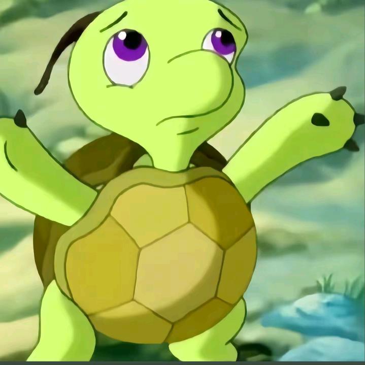 随心 双面龟 （外卖版）