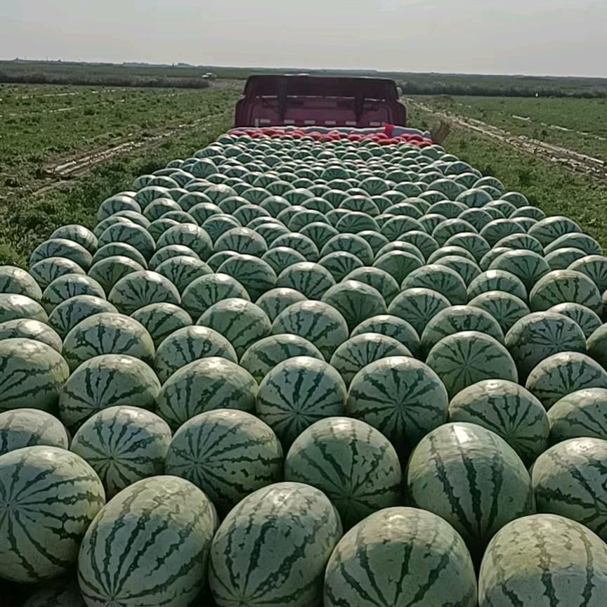 快乐152252