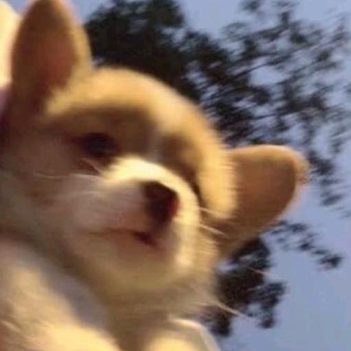 ⁥⁥⁥⁥⁥⁥⁥⁥⁥