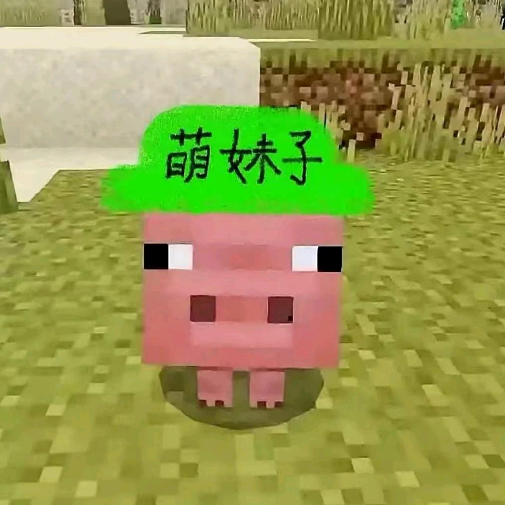 骂我下辈子投胎印度
