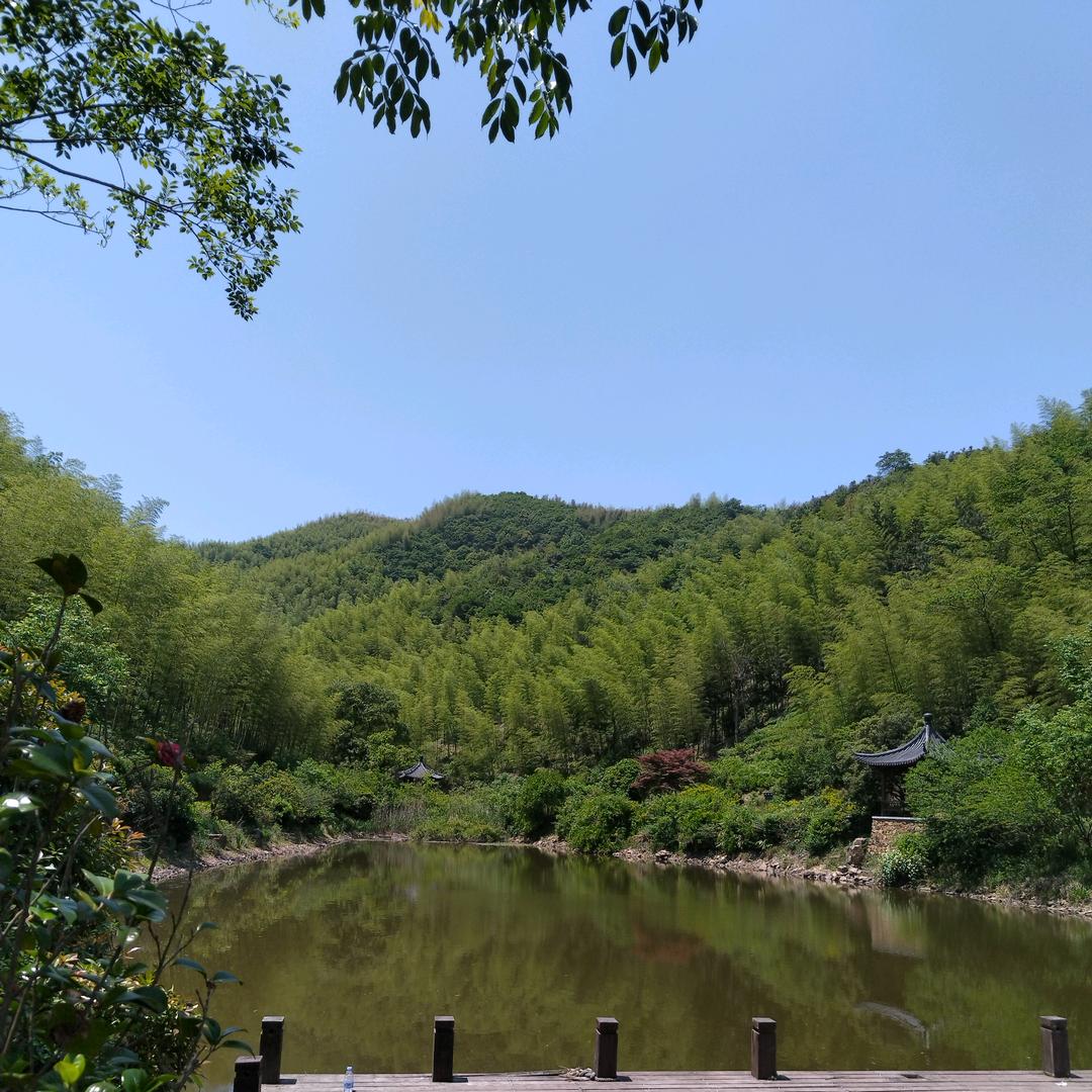 薄荷味的柠檬水i