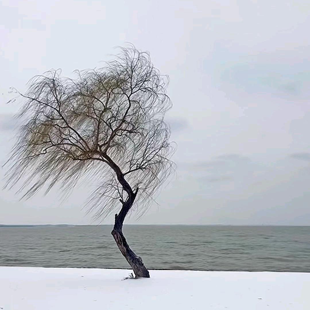 曾經