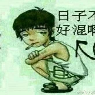 宝家军冬宝