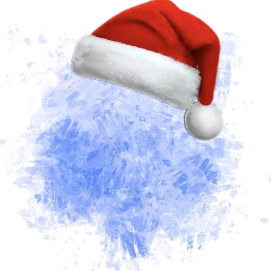 l　　　　　 🪳