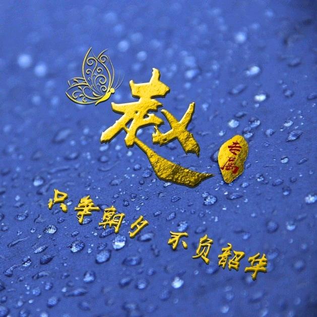 80后打工人