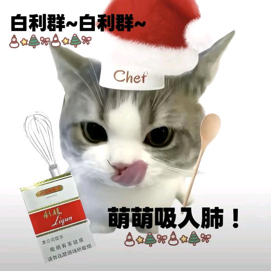 性感小猫
