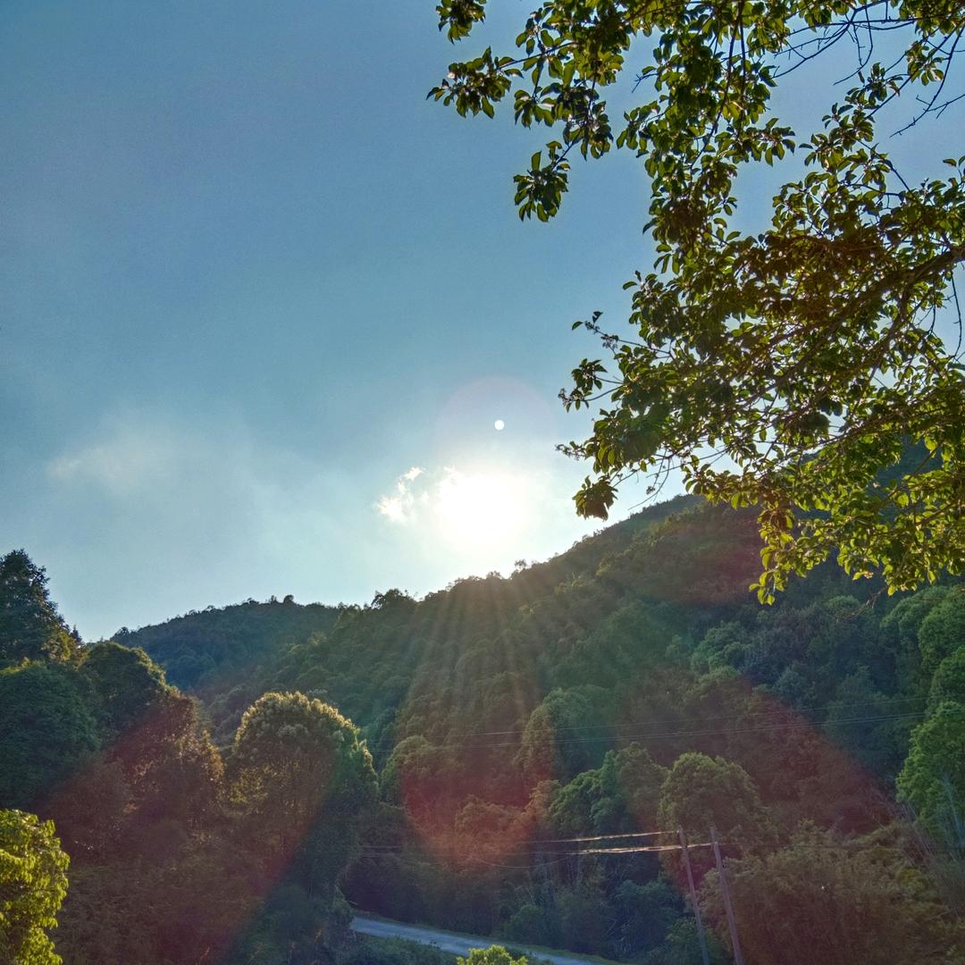 🐲努力奋斗赚钱