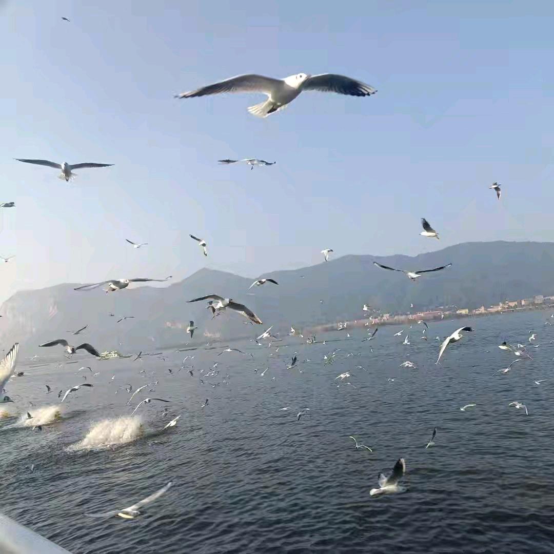 🐭云ღ💞南᭄ꦿ俊࿐少