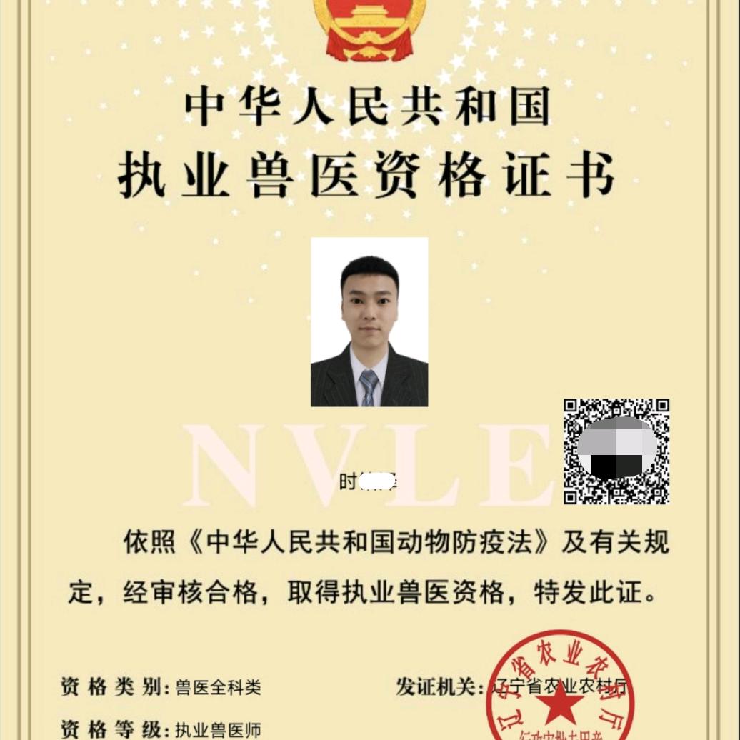 兽医小时