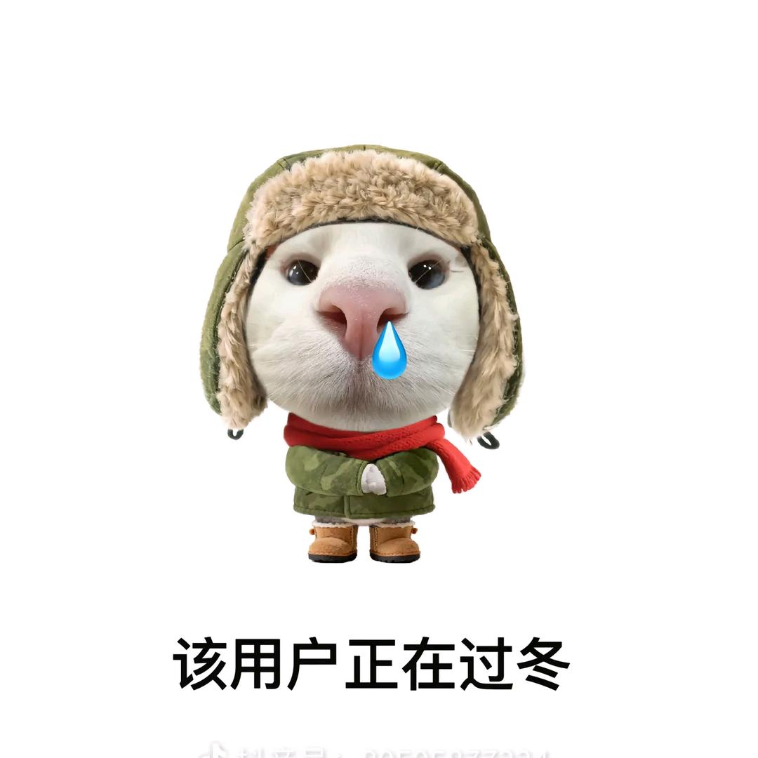 无敌高冷大面包