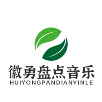 徽勇盘点音乐