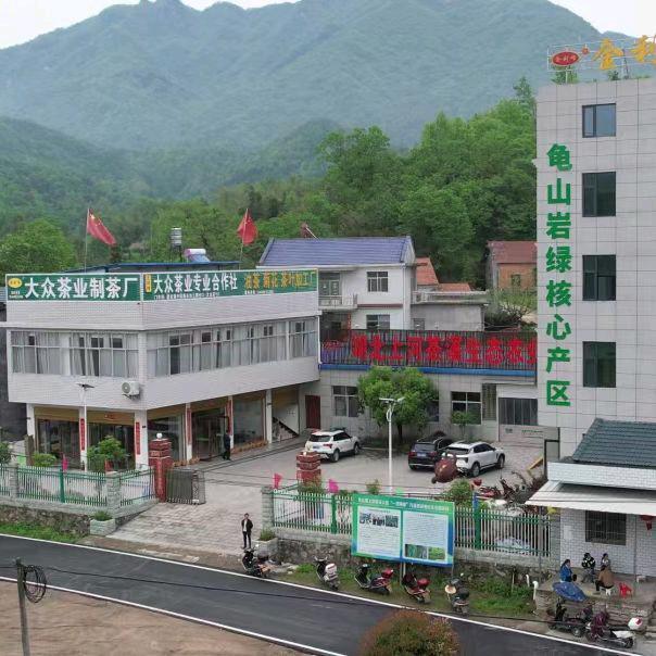 麻城金利峰茶叶