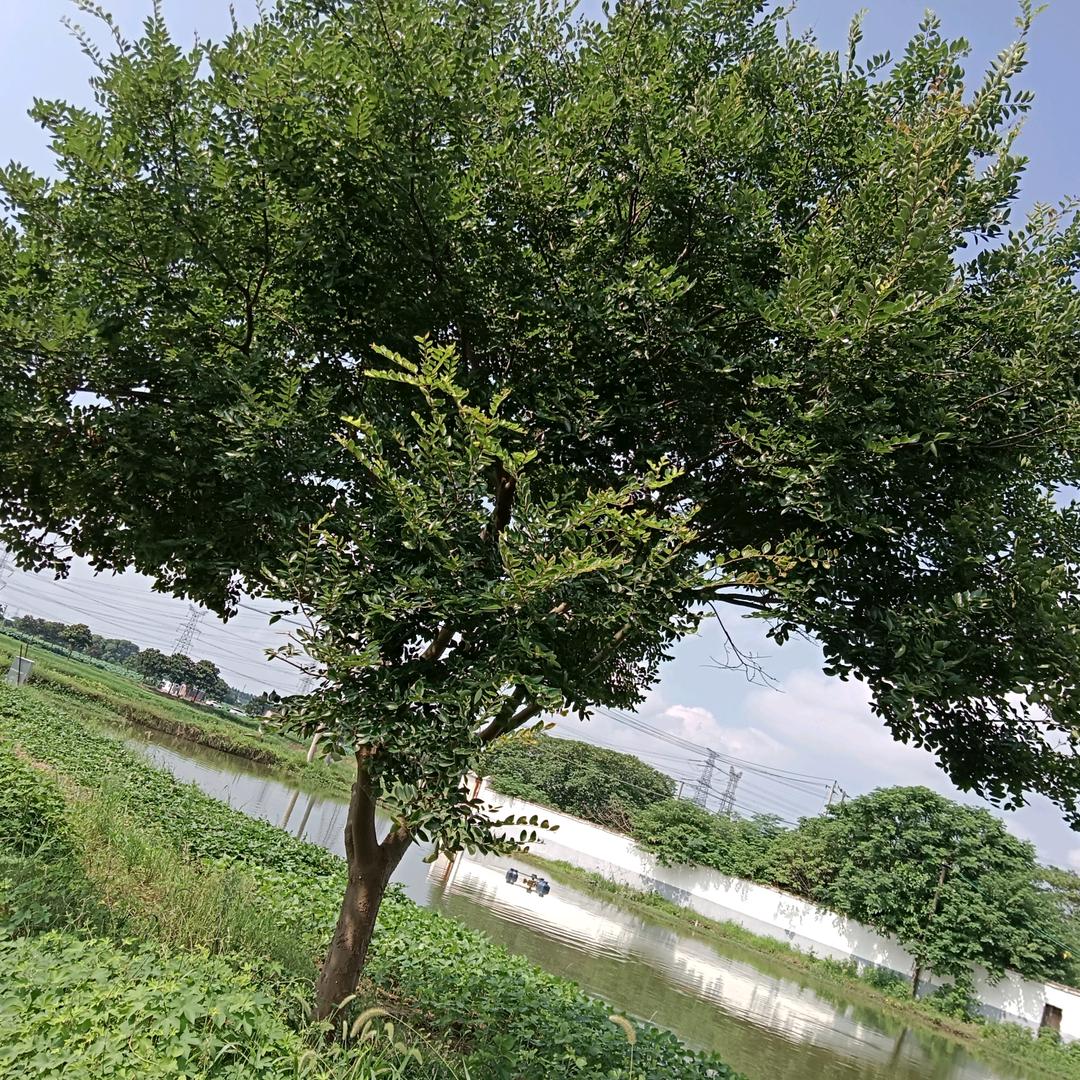 不管它
