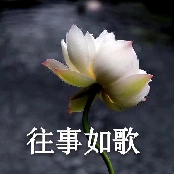 正平