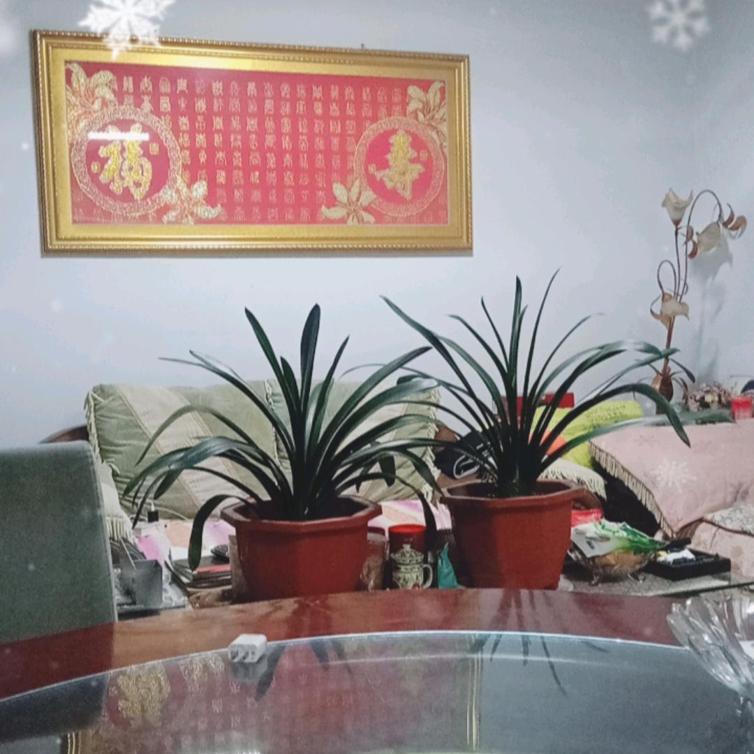 @一生平安@